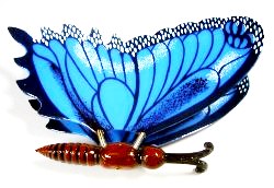 blue butterfly medium edited